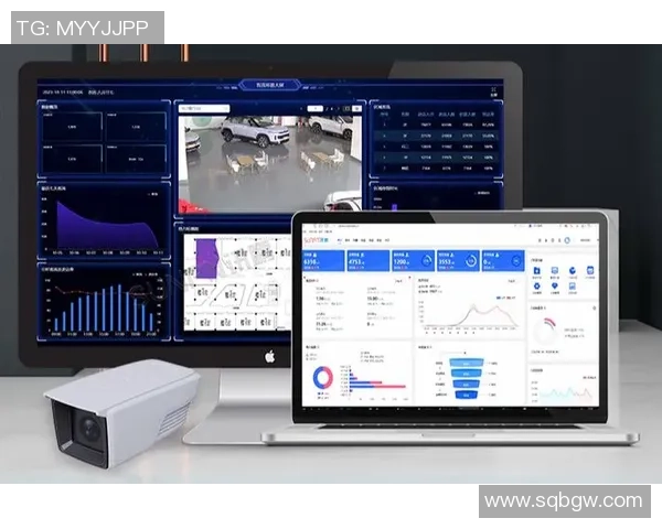 数据分析：FPX的灵活性表现