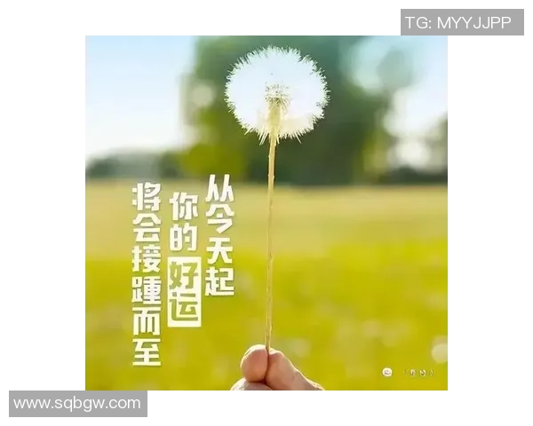 深度对话：周芳的篮球人生